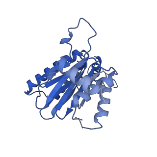 23576_7lxv_G_v1-1
Structure of human 20S proteasome with bound MPI-5