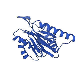 23576_7lxv_J_v1-1
Structure of human 20S proteasome with bound MPI-5
