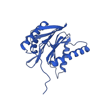 23576_7lxv_L_v1-1
Structure of human 20S proteasome with bound MPI-5
