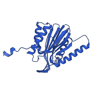 23576_7lxv_M_v1-1
Structure of human 20S proteasome with bound MPI-5