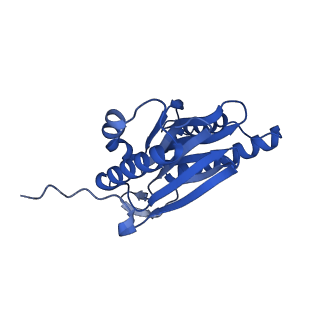 23576_7lxv_N_v1-1
Structure of human 20S proteasome with bound MPI-5