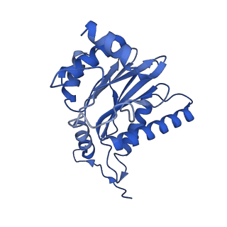 23576_7lxv_O_v1-1
Structure of human 20S proteasome with bound MPI-5