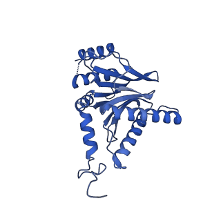 23576_7lxv_P_v1-1
Structure of human 20S proteasome with bound MPI-5