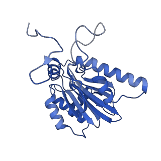 23576_7lxv_R_v1-1
Structure of human 20S proteasome with bound MPI-5
