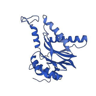 23576_7lxv_S_v1-1
Structure of human 20S proteasome with bound MPI-5
