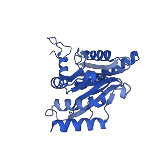 23576_7lxv_T_v1-1
Structure of human 20S proteasome with bound MPI-5