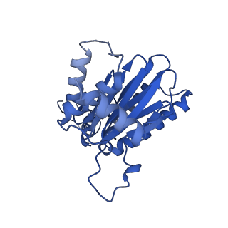 23576_7lxv_U_v1-1
Structure of human 20S proteasome with bound MPI-5