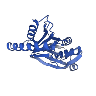 23576_7lxv_Y_v1-1
Structure of human 20S proteasome with bound MPI-5