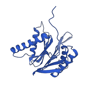23576_7lxv_Z_v1-1
Structure of human 20S proteasome with bound MPI-5