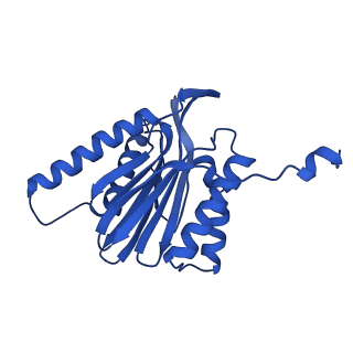 23576_7lxv_a_v1-1
Structure of human 20S proteasome with bound MPI-5