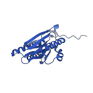 23576_7lxv_b_v1-1
Structure of human 20S proteasome with bound MPI-5