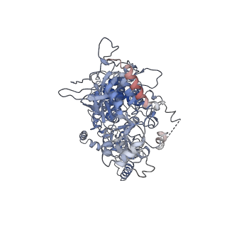 30005_6lxd_A_v1-1
Pri-miRNA bound DROSHA-DGCR8 complex