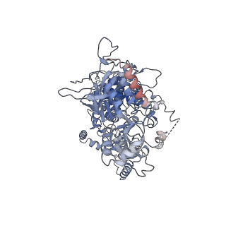 30005_6lxd_A_v1-2
Pri-miRNA bound DROSHA-DGCR8 complex