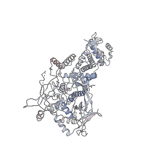 30006_6lxe_A_v1-2
DROSHA-DGCR8 complex