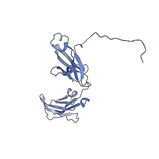 30008_6lxw_A_v1-1
Cryo-EM structure of human secretory immunoglobulin A in complex with the N-terminal domain of SpsA