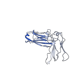 30008_6lxw_C_v1-1
Cryo-EM structure of human secretory immunoglobulin A in complex with the N-terminal domain of SpsA