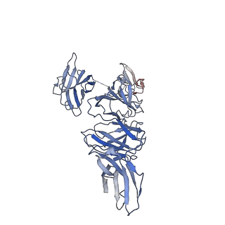 30008_6lxw_P_v1-1
Cryo-EM structure of human secretory immunoglobulin A in complex with the N-terminal domain of SpsA