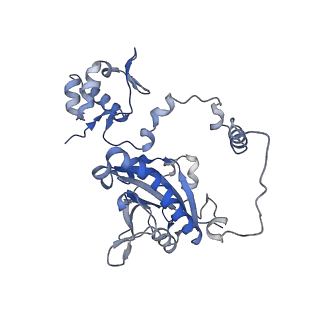 23587_7ly4_A_v1-1
Cryo-EM structure of the elongation module of the bacillamide NRPS, BmdB, in complex with the oxidase, BmdC