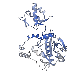 23587_7ly4_D_v1-1
Cryo-EM structure of the elongation module of the bacillamide NRPS, BmdB, in complex with the oxidase, BmdC