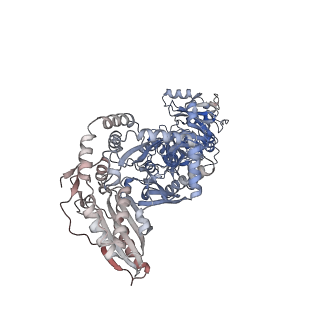 23587_7ly4_E_v1-1
Cryo-EM structure of the elongation module of the bacillamide NRPS, BmdB, in complex with the oxidase, BmdC