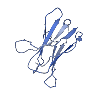 23589_7ly9_E_v1-1
Cryo-EM structure of 2909 Fab in complex with 3BNC117 Fab and CAP256.wk34.c80 SOSIP.RnS2 N160K HIV-1 Env trimer