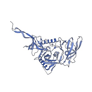 23589_7ly9_G_v1-1
Cryo-EM structure of 2909 Fab in complex with 3BNC117 Fab and CAP256.wk34.c80 SOSIP.RnS2 N160K HIV-1 Env trimer