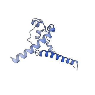 23589_7ly9_J_v1-1
Cryo-EM structure of 2909 Fab in complex with 3BNC117 Fab and CAP256.wk34.c80 SOSIP.RnS2 N160K HIV-1 Env trimer