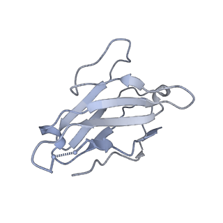 23589_7ly9_L_v1-1
Cryo-EM structure of 2909 Fab in complex with 3BNC117 Fab and CAP256.wk34.c80 SOSIP.RnS2 N160K HIV-1 Env trimer