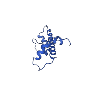 23590_7lya_G_v1-3
Cryo-EM structure of the human nucleosome core particle with linked histone proteins H2A and H2B