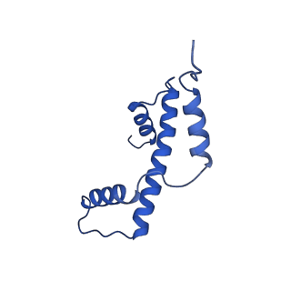 23591_7lyb_E_v1-3
Cryo-EM structure of the human nucleosome core particle in complex with BRCA1-BARD1-UbcH5c