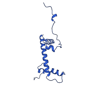 23591_7lyb_G_v1-3
Cryo-EM structure of the human nucleosome core particle in complex with BRCA1-BARD1-UbcH5c