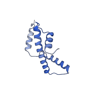 23592_7lyc_E_v1-3
Cryo-EM structure of the human nucleosome core particle ubiquitylated at histone H2A Lys13 and Lys15 in complex with BARD1 (residues 415-777)