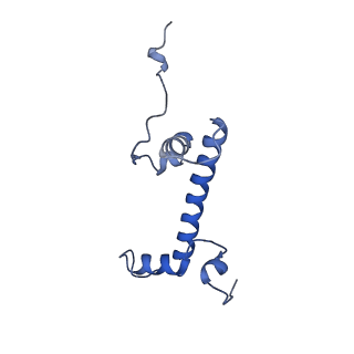23592_7lyc_G_v1-3
Cryo-EM structure of the human nucleosome core particle ubiquitylated at histone H2A Lys13 and Lys15 in complex with BARD1 (residues 415-777)