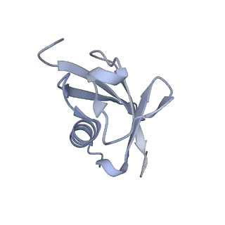 23592_7lyc_K_v1-3
Cryo-EM structure of the human nucleosome core particle ubiquitylated at histone H2A Lys13 and Lys15 in complex with BARD1 (residues 415-777)