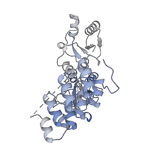 23592_7lyc_N_v1-3
Cryo-EM structure of the human nucleosome core particle ubiquitylated at histone H2A Lys13 and Lys15 in complex with BARD1 (residues 415-777)