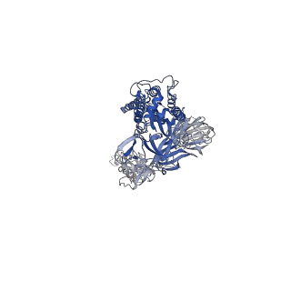 23593_7lyk_A_v1-1
South African (B.1.351) SARS-CoV-2 spike protein variant (S-GSAS-B.1.351) in the 2-RBD-up conformation