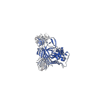 23593_7lyk_B_v1-1
South African (B.1.351) SARS-CoV-2 spike protein variant (S-GSAS-B.1.351) in the 2-RBD-up conformation