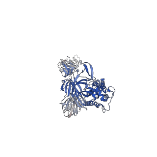 23593_7lyk_B_v2-1
South African (B.1.351) SARS-CoV-2 spike protein variant (S-GSAS-B.1.351) in the 2-RBD-up conformation