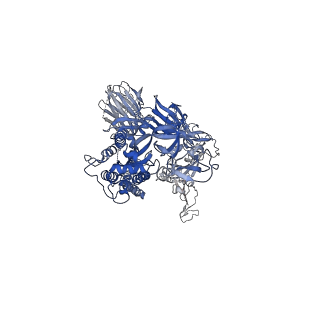 23593_7lyk_C_v1-1
South African (B.1.351) SARS-CoV-2 spike protein variant (S-GSAS-B.1.351) in the 2-RBD-up conformation
