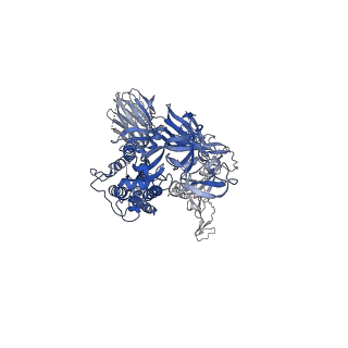 23593_7lyk_C_v2-1
South African (B.1.351) SARS-CoV-2 spike protein variant (S-GSAS-B.1.351) in the 2-RBD-up conformation