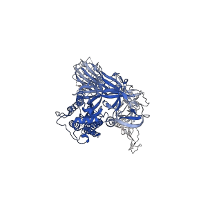 23594_7lyl_C_v2-1
South African (B.1.351) SARS-CoV-2 spike protein variant (S-GSAS-B.1.351) in the RBD-down conformation