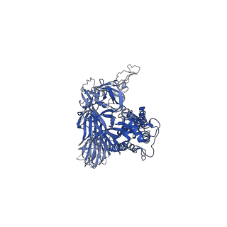 23595_7lym_B_v1-1
South African (B.1.351) SARS-CoV-2 spike protein variant (S-GSAS-B.1.351) in the RBD-down conformation