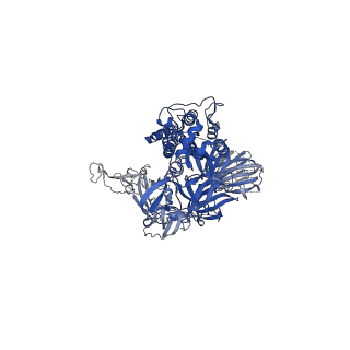23596_7lyn_A_v2-1
South African (B.1.351) SARS-CoV-2 spike protein variant (S-GSAS-B.1.351) in the 1-RBD-up conformation