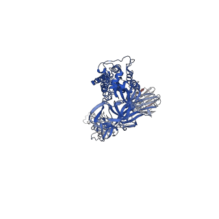 23597_7lyo_B_v1-1
South African (B.1.351) SARS-CoV-2 spike protein variant (S-GSAS-B.1.351) in the 1-RBD-up conformation