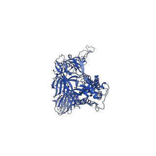 23597_7lyo_C_v1-1
South African (B.1.351) SARS-CoV-2 spike protein variant (S-GSAS-B.1.351) in the 1-RBD-up conformation