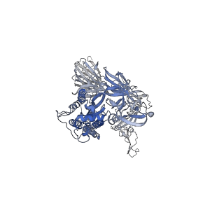 23598_7lyp_A_v1-1
South African (B.1.351) SARS-CoV-2 spike protein variant (S-GSAS-B.1.351) in the 1-RBD-up conformation