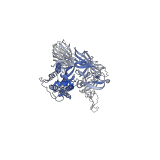 23598_7lyp_A_v2-1
South African (B.1.351) SARS-CoV-2 spike protein variant (S-GSAS-B.1.351) in the 1-RBD-up conformation