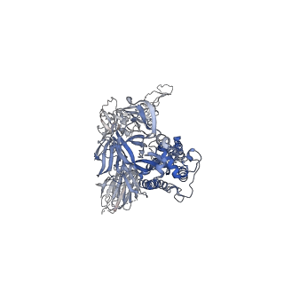 23598_7lyp_C_v1-1
South African (B.1.351) SARS-CoV-2 spike protein variant (S-GSAS-B.1.351) in the 1-RBD-up conformation