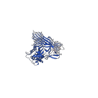 23599_7lyq_B_v3-1
South African (B.1.351) SARS-CoV-2 spike protein variant (S-GSAS-B.1.351) in the 1-RBD-up conformation