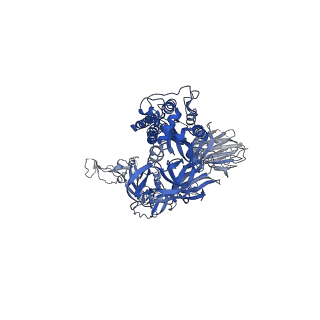 23599_7lyq_C_v3-1
South African (B.1.351) SARS-CoV-2 spike protein variant (S-GSAS-B.1.351) in the 1-RBD-up conformation